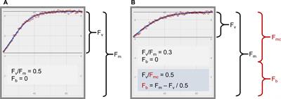 Improving the Accuracy of Single Turnover Active Fluorometry (STAF) for the Estimation of Phytoplankton Primary Productivity (PhytoPP)